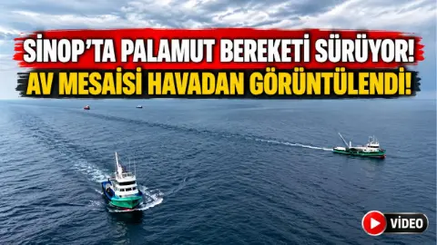 Sinop’ta palamut bereketi balıkçıların yüzünü güldürüyor