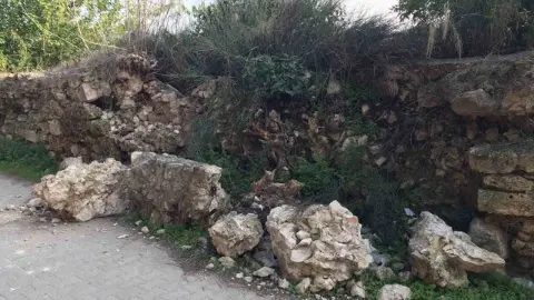 İznik’te ağaç köklerinin zarar verdiği tarihi su kemeri için koruma çağrısı