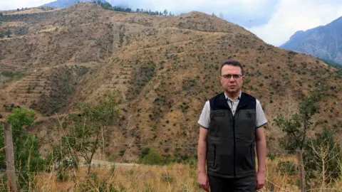 Kahramanmaraş'ta yanan 92 hektarlık alan yeniden ağaçlandırıldı