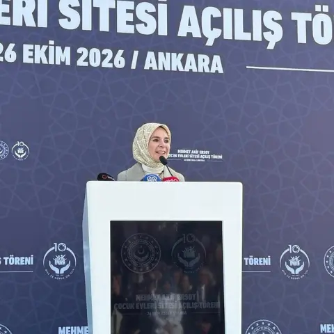 Göktaş, koruyucu aile yanında büyüyen çocukların sayısını açıkladı