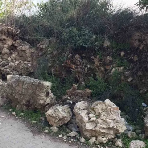 İznik’te ağaç köklerinin zarar verdiği tarihi su kemeri için koruma çağrısı