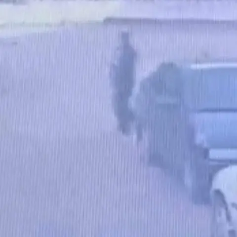 Bolu’da park halindeki otomobilden saat alan şüpheli kamerada