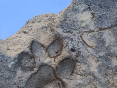 Tavşanlı Höyük'te Tunç Çağı'ndan pati izleri ortaya çıktı