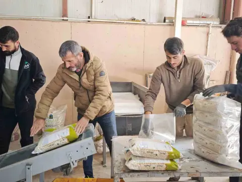 Türkiye’nin tohumluk kuru fasulye üretiminin yüzde 75’i Bitlis’ten