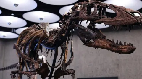 Genç T. rex sanılıyordu, gerçek ortaya çıktı: İskeleti dudak uçuklatan fiyata satıldı