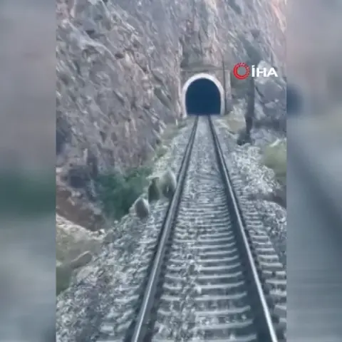Sivas Divriği'de tren raylarına inen anne ayı ve yavruları treni durdurdu