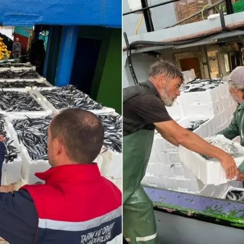 Didim'de balıkçılık denetimleri devam ediyor