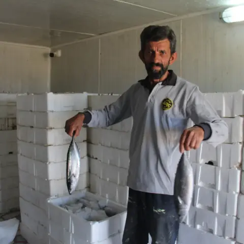 Karadeniz’deki tarihi bolluk sevindirmişti ama... Uzman isimden korkutan uyarı: "Önümüzdeki yıllarda tezgahlarda göremeyebiliriz!