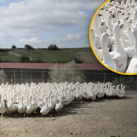 Şehir hayatını bir çırpıda sildiler, hayatları değişti! 50 kazla başladılar, şimdi paraya para demiyorlar