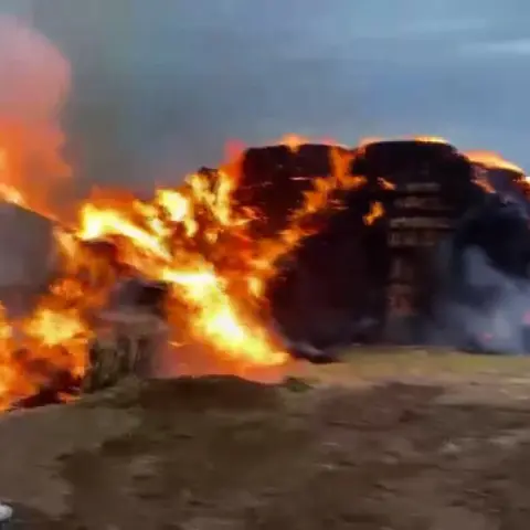 Yıldırım samanlara isabet etti: 500 ton balya yandı