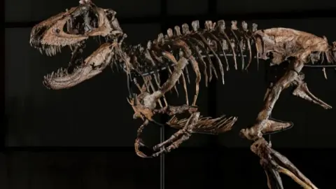 Dinozor fosiline servet ödediler: 47,3 milyon dolara satıldı