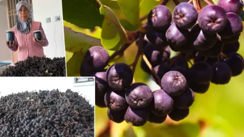 Oğlunun önerisiyle başladı, 4 yılda verim arttı: Kilosuyla değil yarım kilosuyla 400 liraya satıyor