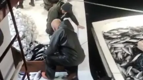 Sinop'ta balıkçı denize açıldı, ağını çekince gözlerine inanamadı: 5 bin palamut tekneye sığmadı
