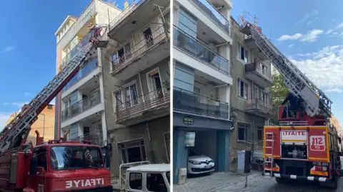 Aydın'da yaramaz kedi ortalığı birbirine kattı: İtfaiye ekipleri seferber oldu