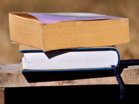 Türk edebiyatında modernleşme ve yabancılaşma