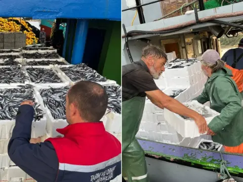 Didim'de balıkçılık denetimleri devam ediyor