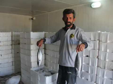 Karadeniz’deki tarihi bolluk sevindirmişti ama... Uzman isimden korkutan uyarı: "Önümüzdeki yıllarda tezgahlarda göremeyebiliriz!