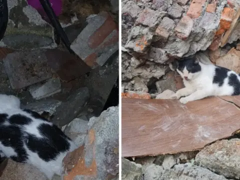 Mucize kurtuluş: 6 gün önce çöken binanın enkazından canlı çıkarıldı