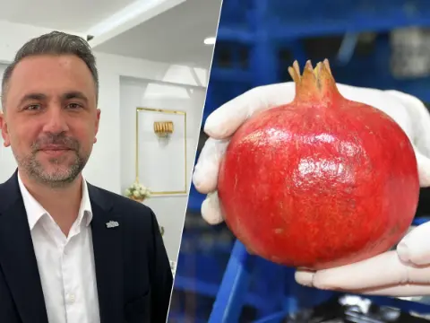 Batı Akdeniz’den 9 aylık yaş meyve ihracatı 243 milyon dolara çıktı: Şeftali, kiraz ve siyah incir zirvede