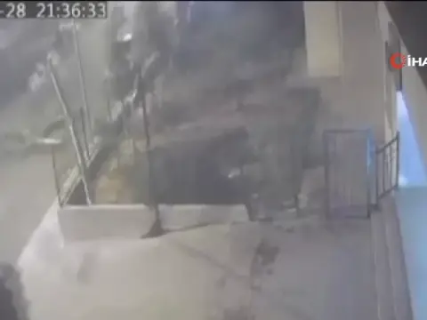 Mardin Nusaybin'de şiddetli rüzgarda devrilen ağaç kamerada