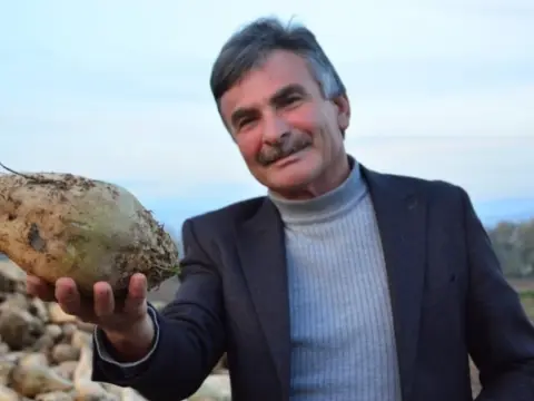 Çorumlu üreticiden sosyal medyada gündem olan çıkış: "Kazanmıyorum diyen çiftçiler külliyen yalan söylüyor