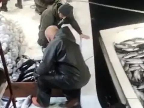 Sinop'ta balıkçı denize açıldı, ağını çekince gözlerine inanamadı: 5 bin palamut tekneye sığmadı