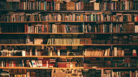 Yapay zekâ çağında kütüphanelerin geleceği nasıl şekilleniyor?