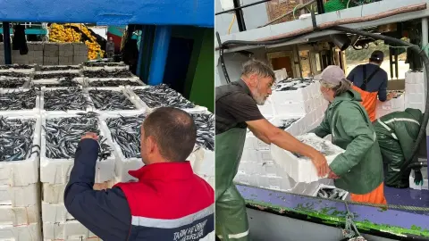 Didim'de balıkçılık denetimleri devam ediyor