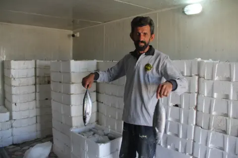 Karadeniz’deki tarihi bolluk sevindirmişti ama... Uzman isimden korkutan uyarı: "Önümüzdeki yıllarda tezgahlarda göremeyebiliriz!