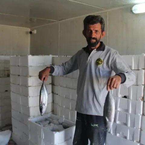Karadeniz’deki tarihi bolluk sevindirmişti ama... Uzman isimden korkutan uyarı: "Önümüzdeki yıllarda tezgahlarda göremeyebiliriz!