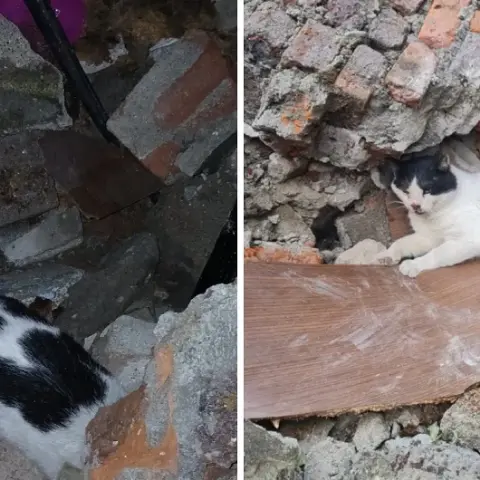 Mucize kurtuluş: 6 gün önce çöken binanın enkazından canlı çıkarıldı