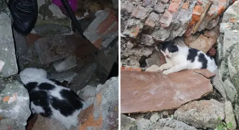 Mucize kurtuluş: 6 gün önce çöken binanın enkazından canlı çıkarıldı