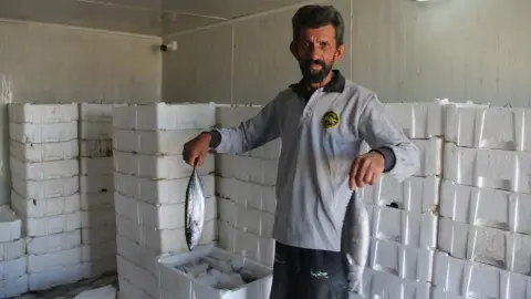 Karadeniz’deki tarihi bolluk sevindirmişti ama... Uzman isimden korkutan uyarı: "Önümüzdeki yıllarda tezgahlarda göremeyebiliriz!