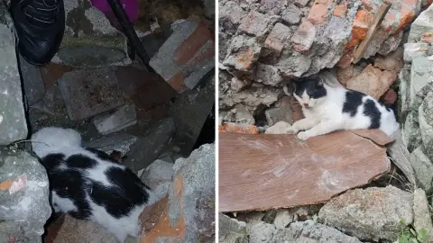 Mucize kurtuluş: 6 gün önce çöken binanın enkazından canlı çıkarıldı