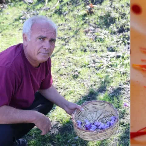 Gramı 900 TL: 150 bin çiçekten bir kilo çıkan safranda gece yarısı mesaisi