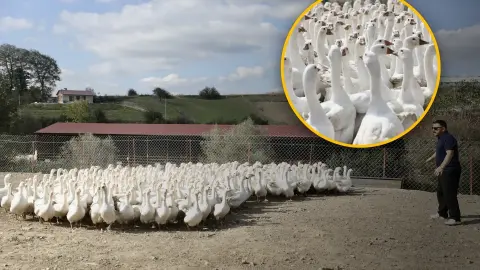Şehir hayatını bir çırpıda sildiler, hayatları değişti! 50 kazla başladılar, şimdi paraya para demiyorlar