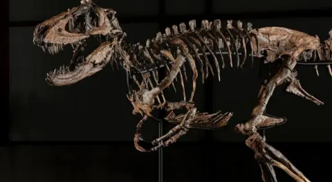 Dinozor fosiline servet ödediler: 47,3 milyon dolara satıldı