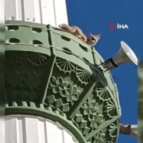Mersin Mut'ta cami minaresine çıkan tilki cep telefonuyla görüntülendi