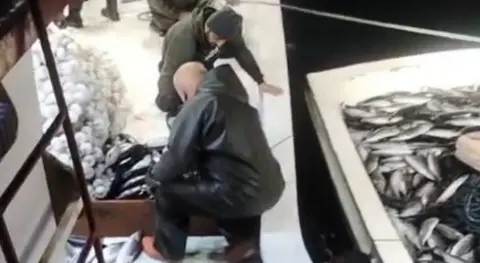 Sinop'ta balıkçı denize açıldı, ağını çekince gözlerine inanamadı: 5 bin palamut tekneye sığmadı