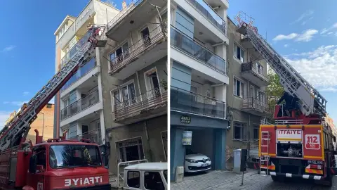 Aydın'da yaramaz kedi ortalığı birbirine kattı: İtfaiye ekipleri seferber oldu