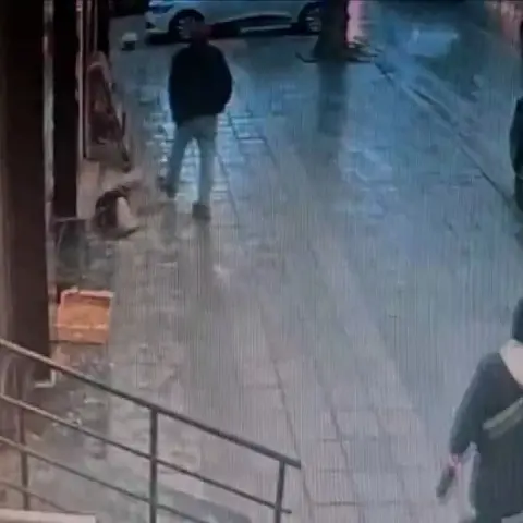 Avcılar'da uyurken tekmelediği köpek bacağını ısırdı