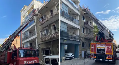 Aydın'da yaramaz kedi ortalığı birbirine kattı: İtfaiye ekipleri seferber oldu