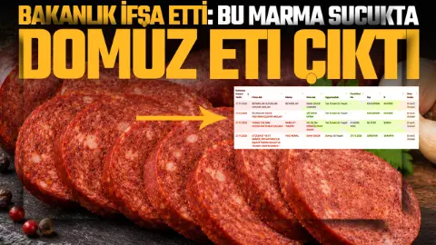 Sakarya'da üretilen sucukta domuz eti tespit edildi