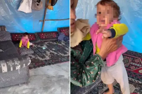 Dehşete düşüren görüntü! Videoyu izleyenler bakanlığı etiketliyor