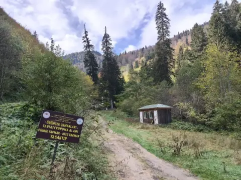 Gümüşhane’nin Yeşil Denizine Sonbahar Dokunuşu