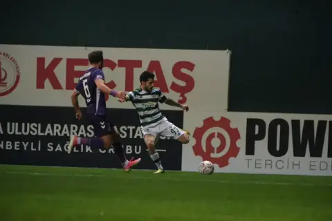 Timsah zirveye kuruldu