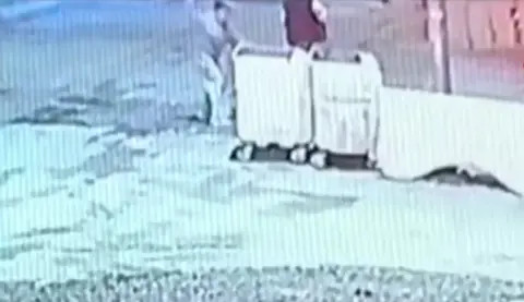 Çöpte yemek yiyen kediye taş atan kadın yakalandı