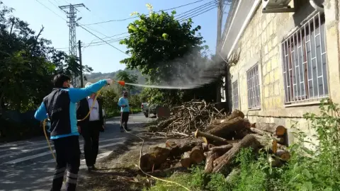 Trabzon’da Kahverengi Kokarcayla Mücadele Sürüyor: Son 3 Yılda 200 Bin Samuray Arısı Doğaya Salındı