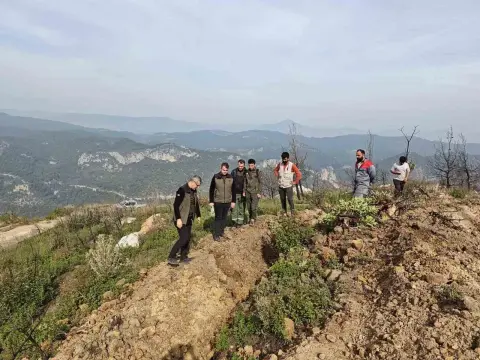 Bilecik Osmaneli'de yangından zarar gören alanlarda ağaçlandırma çalışmaları sürüyor