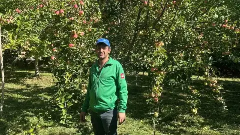 Dalında Olgunlaşıyor, Aylarca Bozulmuyor: Gürün’ün Ayvaniye Elması
